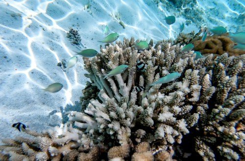 Mexiko Kultur: Einblicke in die Religion & Menschen 30 Mexiko kultur 8 - Mexiko Individual