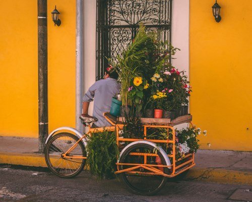 Die schönsten Mexiko Städte - Unsere Top 8 8 mexiko 29 - Mexiko Individual