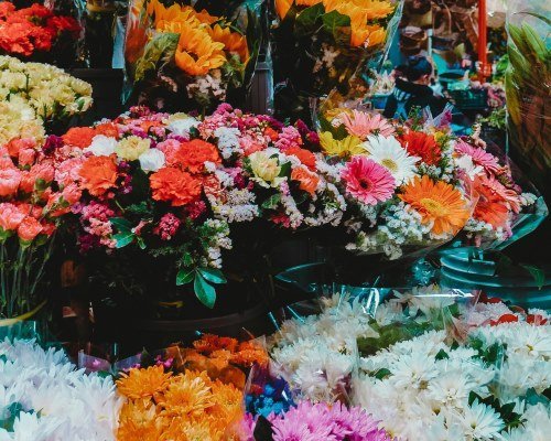 Die schönsten Mexiko Städte - Unsere Top 8 35 mexiko 37 - Mexiko Individual