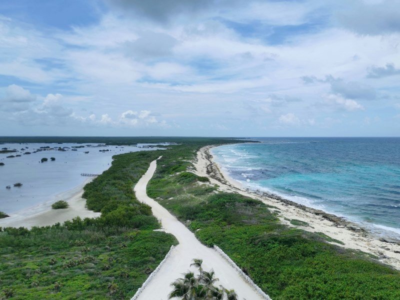 Die schönsten Mexiko Inseln: Paradiesische Ziele für Ihren Traumurlaub 6 Cozumel 3 - Mexiko Individual