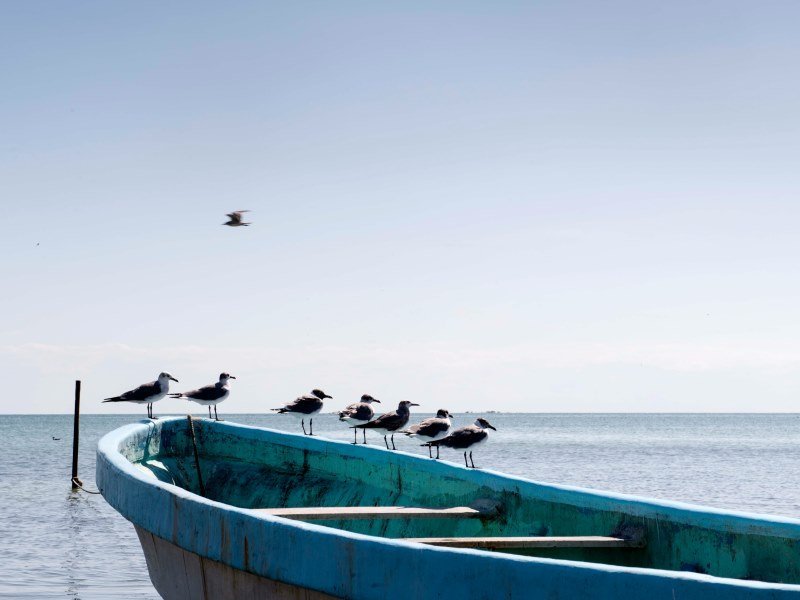 Die schönsten Mexiko Inseln: Paradiesische Ziele für Ihren Traumurlaub 26 Isla Aguada 2 - Mexiko Individual