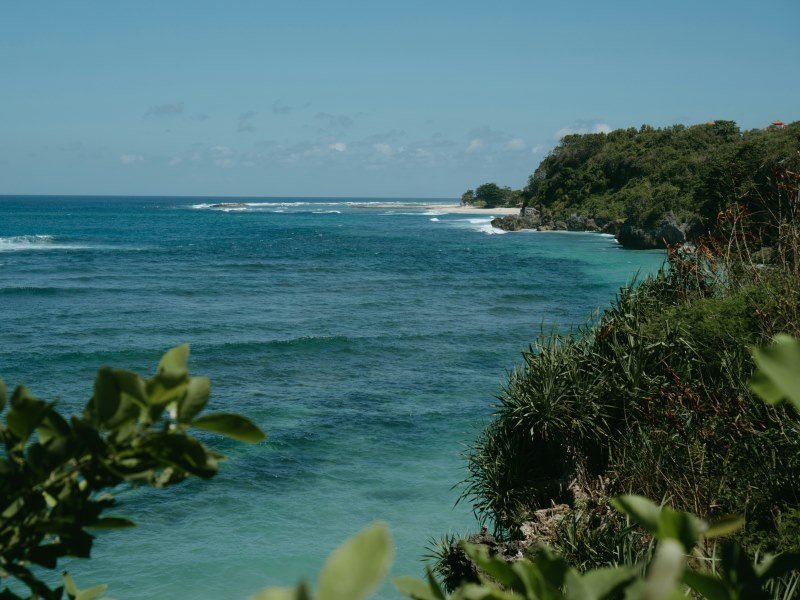 Die schönsten Mexiko Inseln: Paradiesische Ziele für Ihren Traumurlaub 19 Isla Socorro - Mexiko Individual