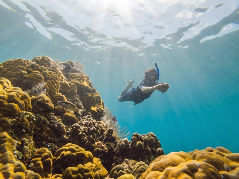Mexiko Schnorcheln und Tauchen - Die besten Spots für Ihre Rundreise: Unterwasserparadiese entdecken 32 Die Riffe vor Playa del Carmen - Mexiko Individual
