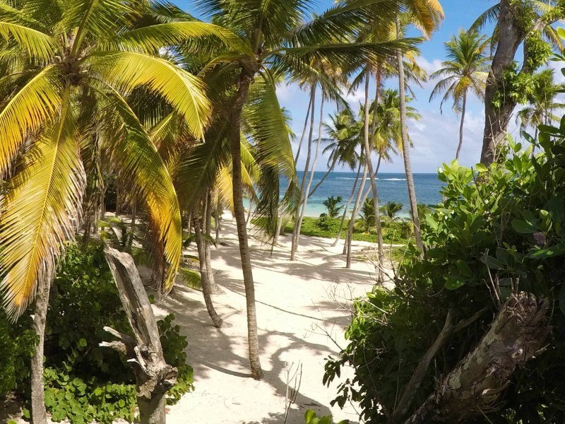 Mexiko Schnorcheln und Tauchen - Die besten Spots für Ihre Rundreise: Unterwasserparadiese entdecken 15 Insel Guadalupe - Mexiko Individual