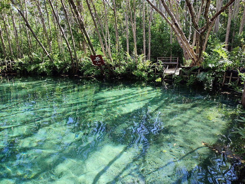 Mexiko Schnorcheln und Tauchen - Die besten Spots für Ihre Rundreise: Unterwasserparadiese entdecken 27 Reserva Ecologica El Corchito Progreso Yucatan - Mexiko Individual