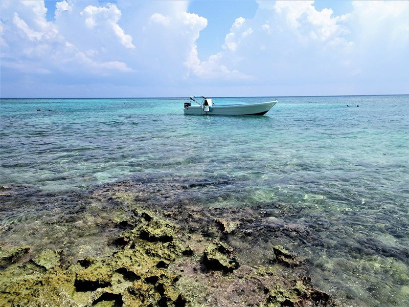 Mexiko Schnorcheln und Tauchen - Die besten Spots für Ihre Rundreise: Unterwasserparadiese entdecken 26 Rivera Maya 1 - Mexiko Individual