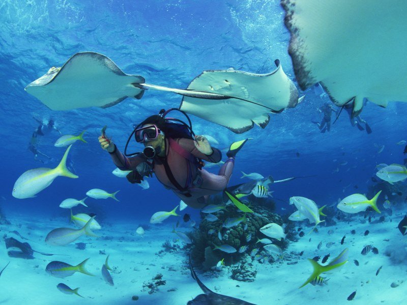 Mexiko Schnorcheln und Tauchen - Die besten Spots für Ihre Rundreise: Unterwasserparadiese entdecken 30 Schnorchelgebiete - Mexiko Individual