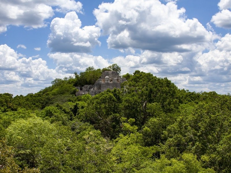 Die 16 schönsten Maya Tempel in Mexiko: Eine Entdeckungsreise durch die Geschichte 10 Calakmul Mexiko 1 - Mexiko Individual