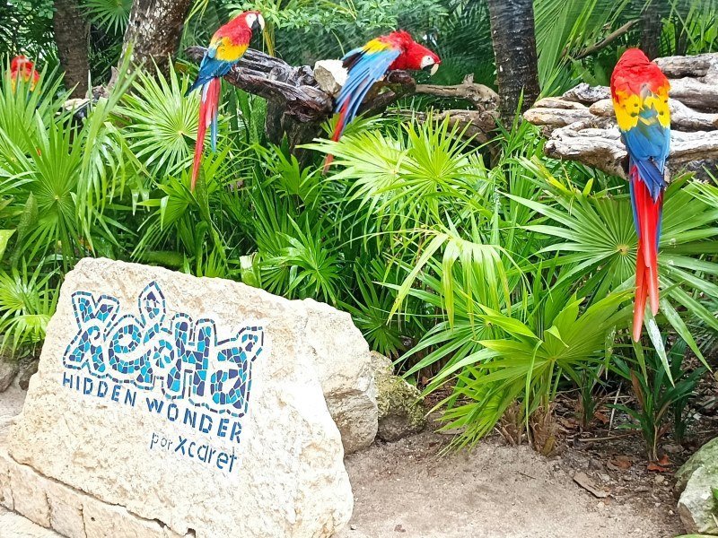 Mexiko Urlaub 2026 - Alle Kosten und Preise im Überblick 12 Xel Ha Park Fernstrasse Chetumal Puerto Juarez Quintana Roo - Mexiko Individual